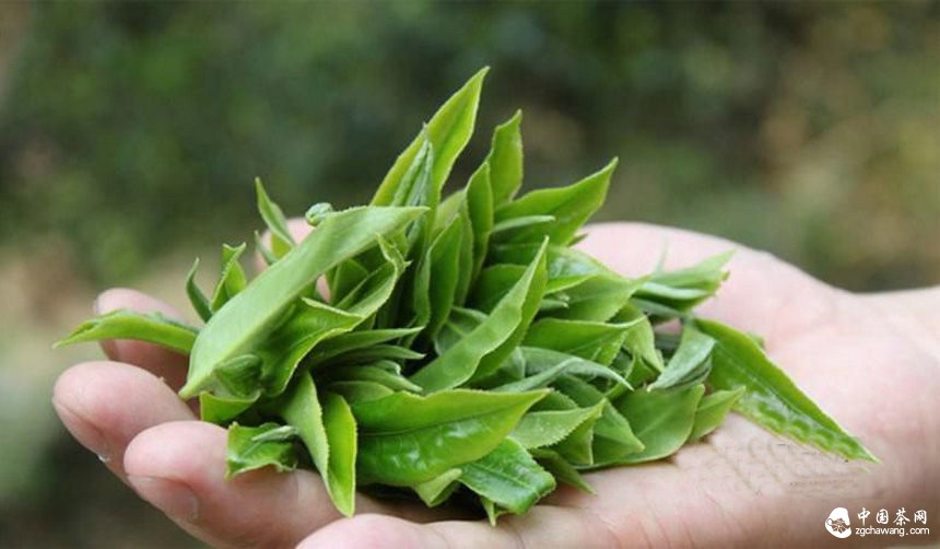 茶行业洗牌阶段，茶企该以何立足？