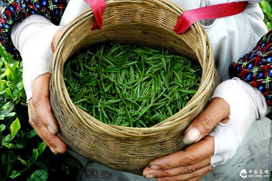 年销茶叶破10亿元 商贾四方点茶成金