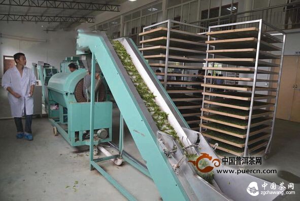 新昌茶农建起茶叶全产业链 "跑"赢茶业转型升级路