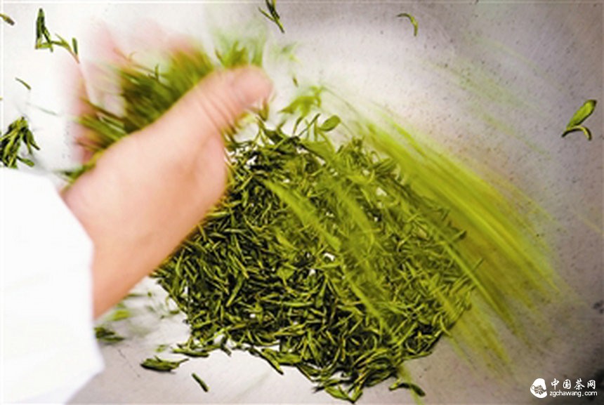 炒茶：心手合一香满堂