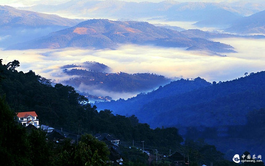 第七届勐海茶王节开幕 勐海建设中国普洱茶第一县