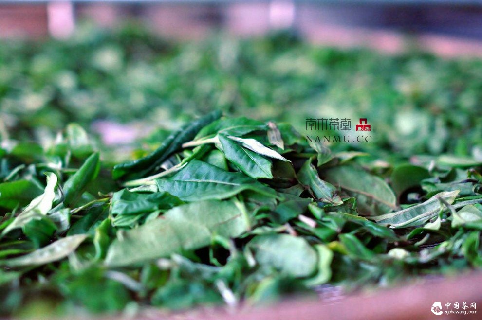 如约&mdash;&mdash;相爱  穿梭在漫漫茶路上