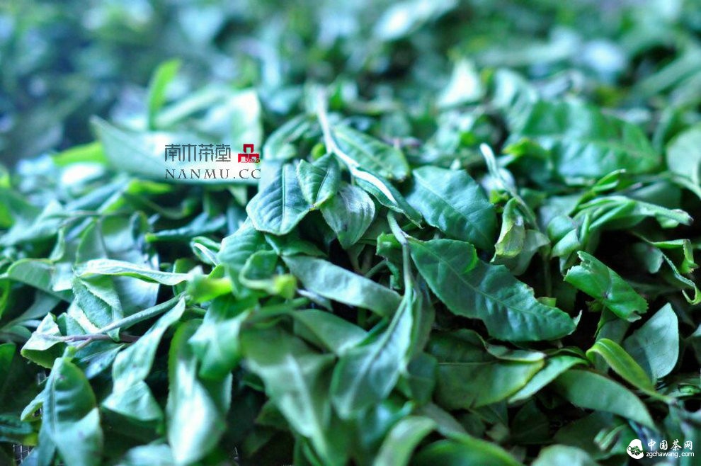 如约&mdash;&mdash;相爱  穿梭在漫漫茶路上