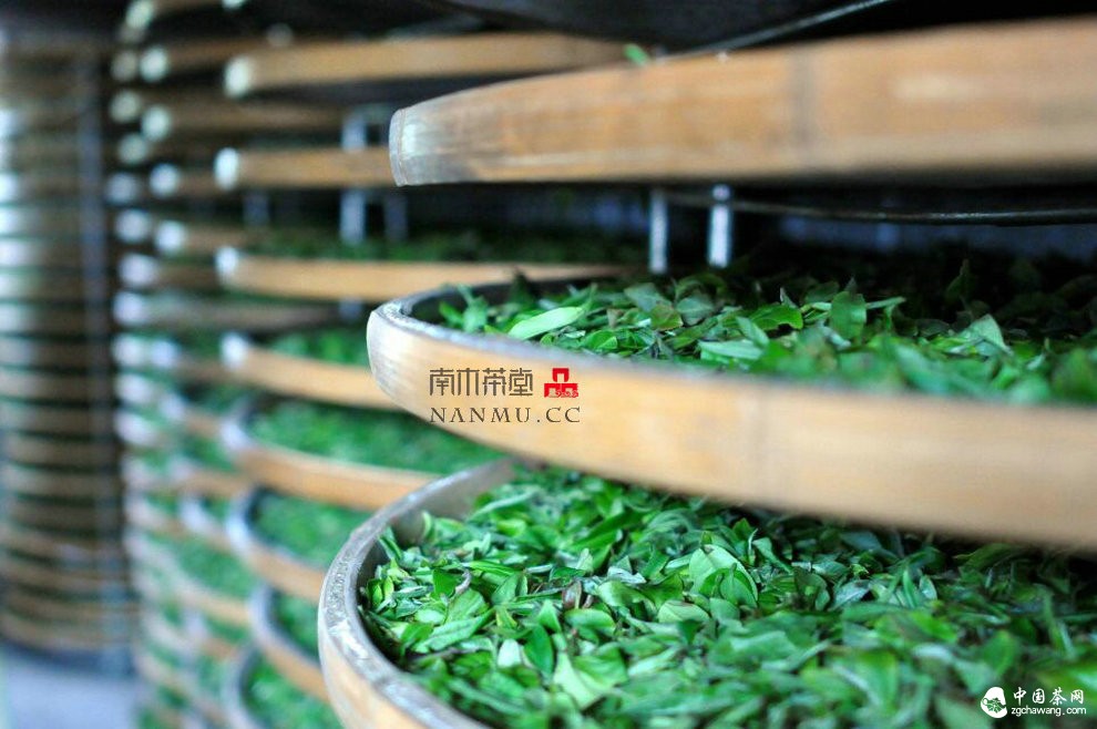 如约&mdash;&mdash;相爱  穿梭在漫漫茶路上