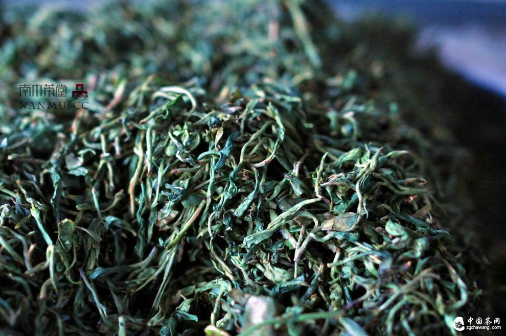 如约&mdash;&mdash;相爱  穿梭在漫漫茶路上