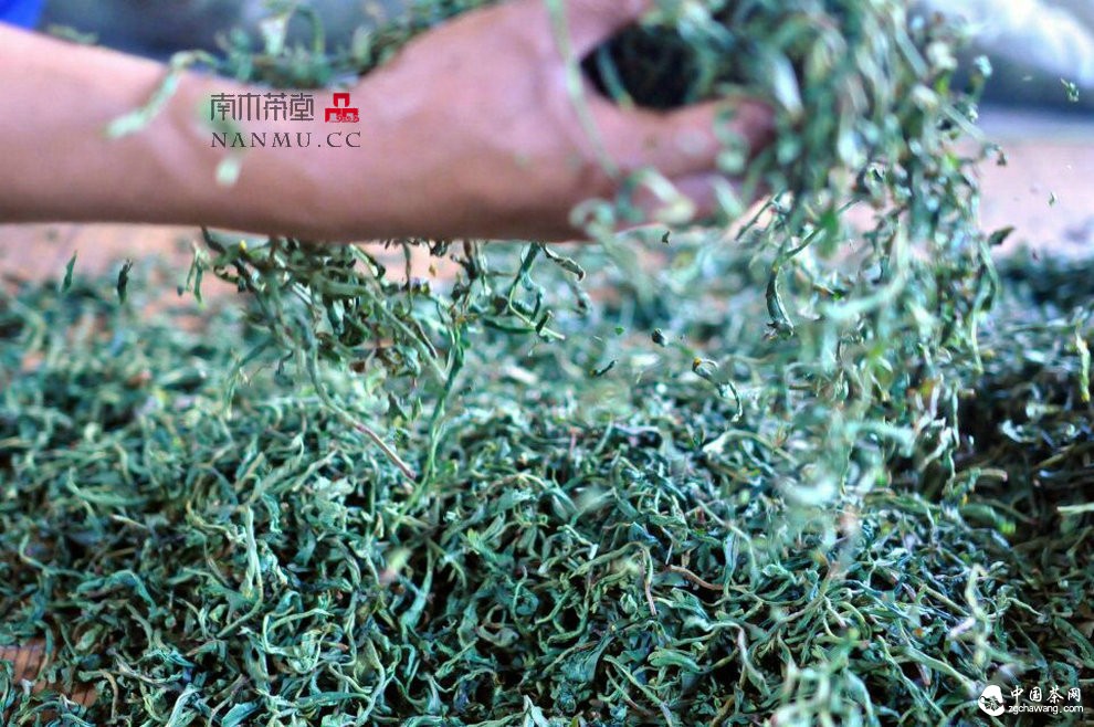 如约&mdash;&mdash;相爱  穿梭在漫漫茶路上