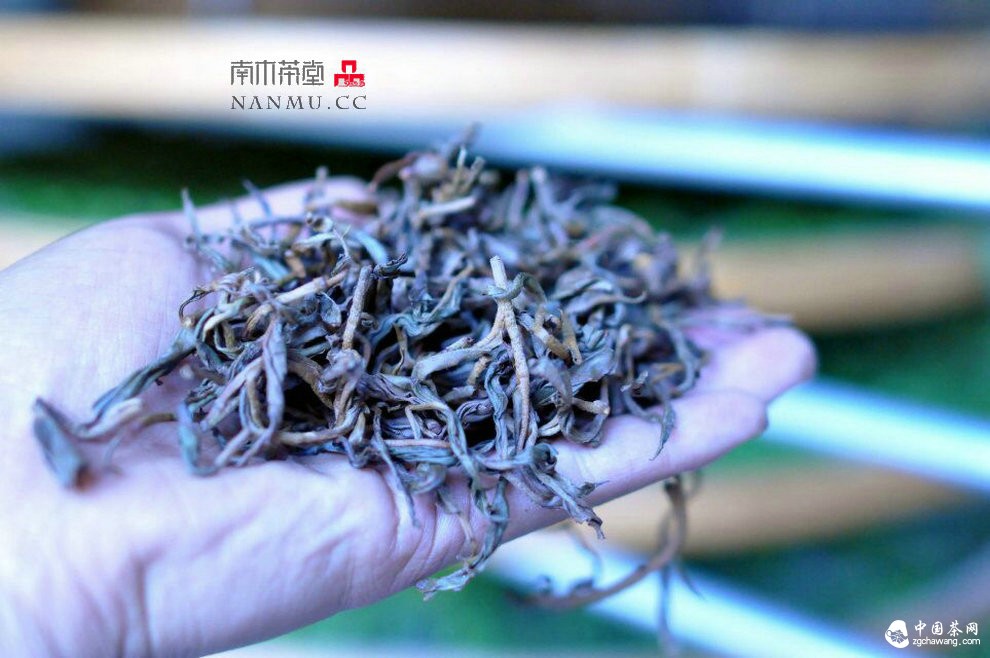 如约&mdash;&mdash;相爱  穿梭在漫漫茶路上