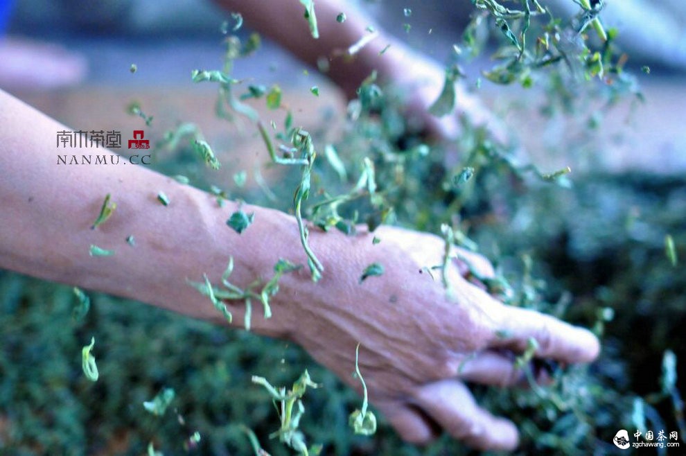 如约&mdash;&mdash;相爱  穿梭在漫漫茶路上