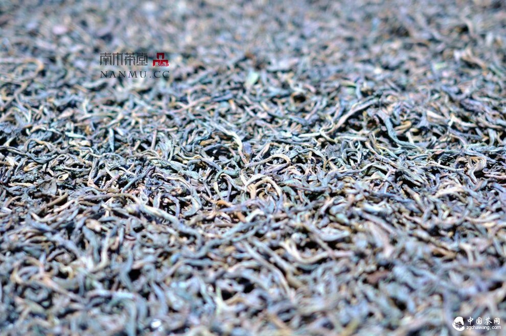 如约&mdash;&mdash;相爱  穿梭在漫漫茶路上