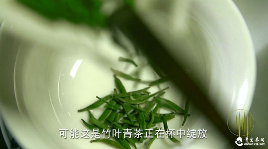 中国茶企首次1分钟巨献 竹叶青荣登央视荧屏