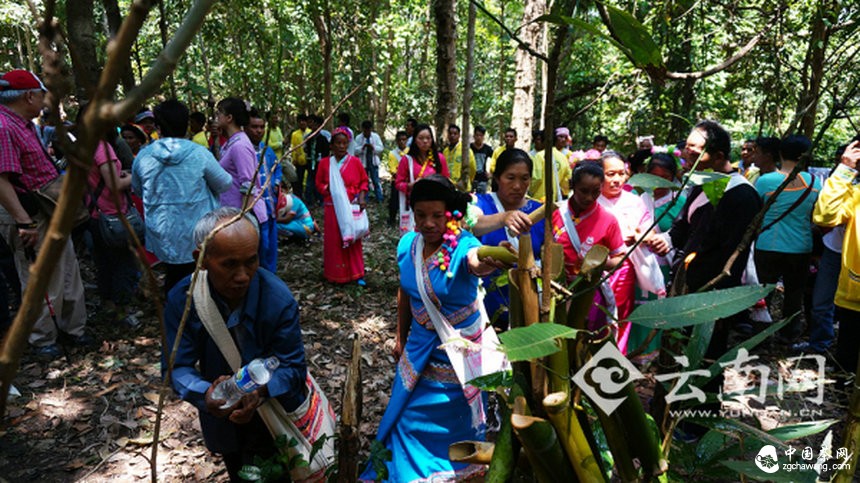 80后布朗小伙自费请国际学者献策民族文化保护