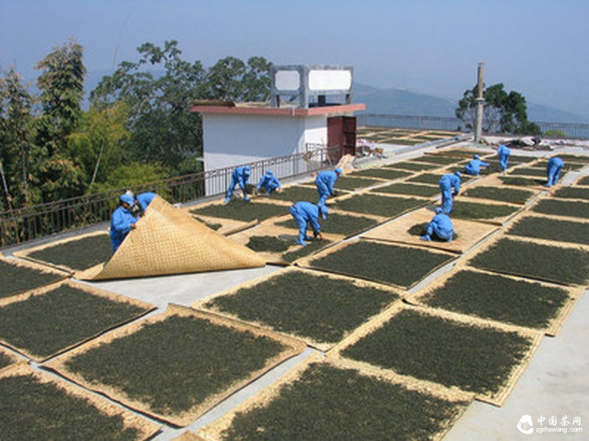 大厂小厂普洱茶之说