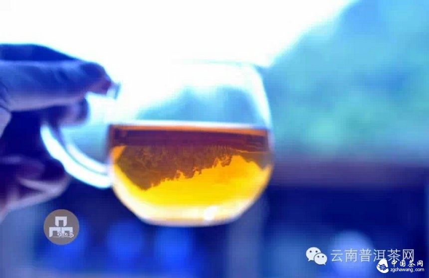 古树红茶采摘、加工、冲泡