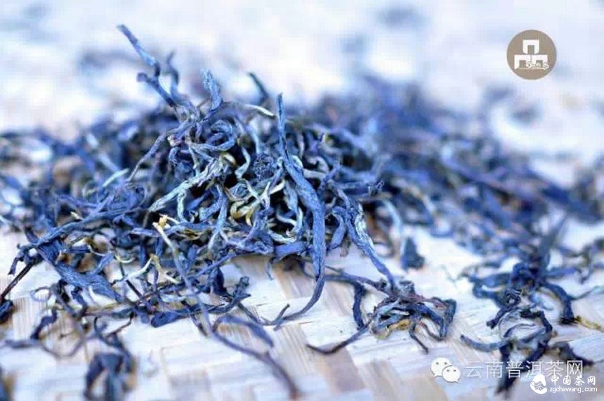 古树红茶采摘、加工、冲泡