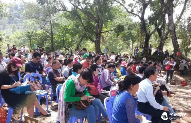 2014易武小产区茶业发展论坛
