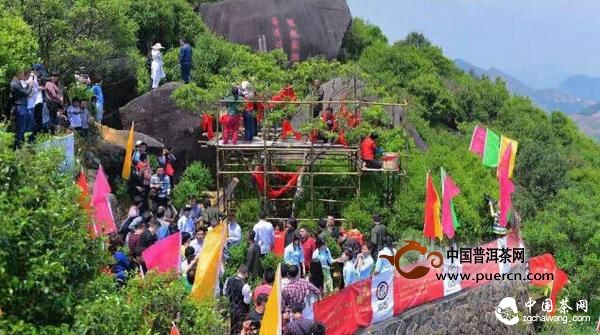 百万凤凰单丛的背后说明了什么?