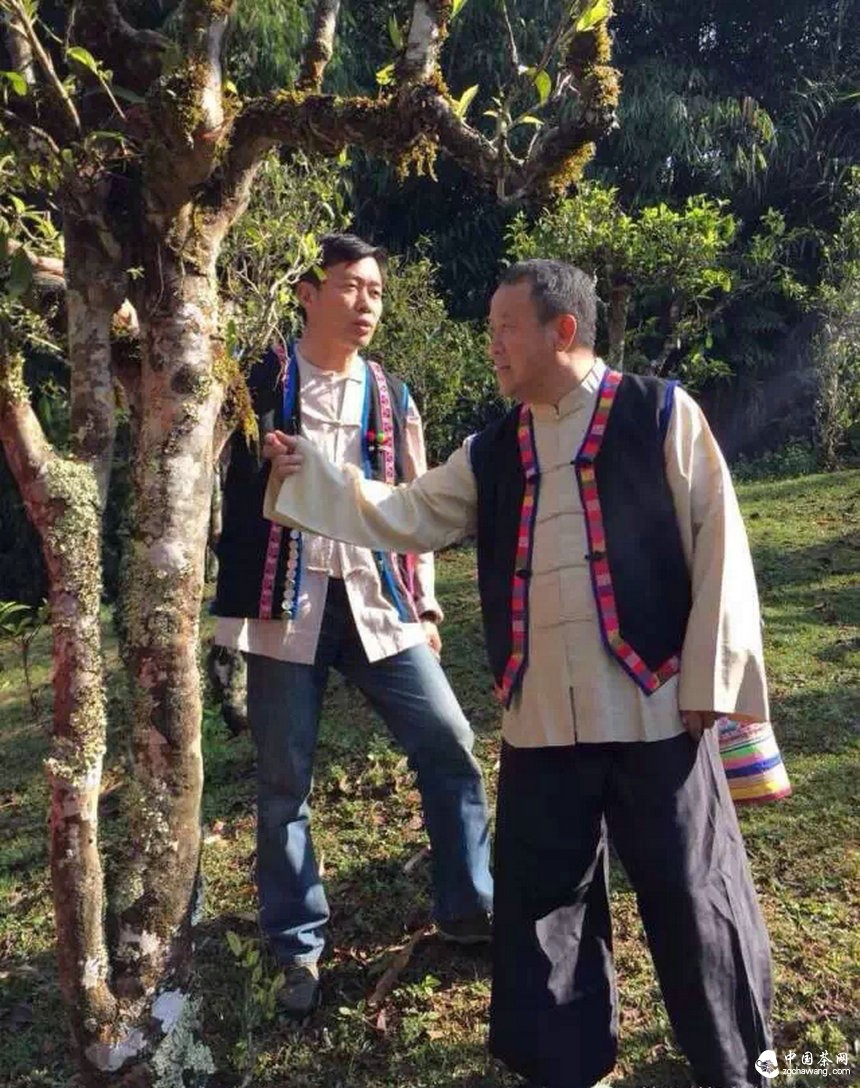 大咖曾志伟探访普洱茶名山头贺开 亲自体验采茶、杀青、揉捻等工序
