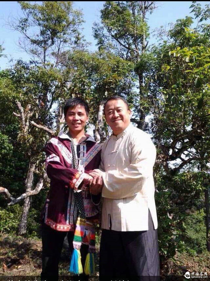大咖曾志伟探访普洱茶名山头贺开 亲自体验采茶、杀青、揉捻等工序