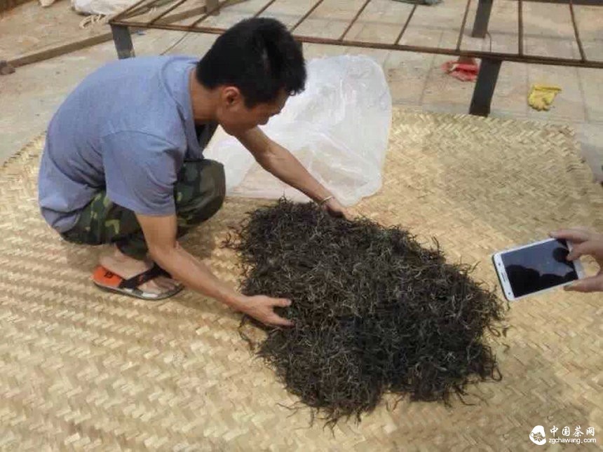 土豪茶叶15万一公斤 