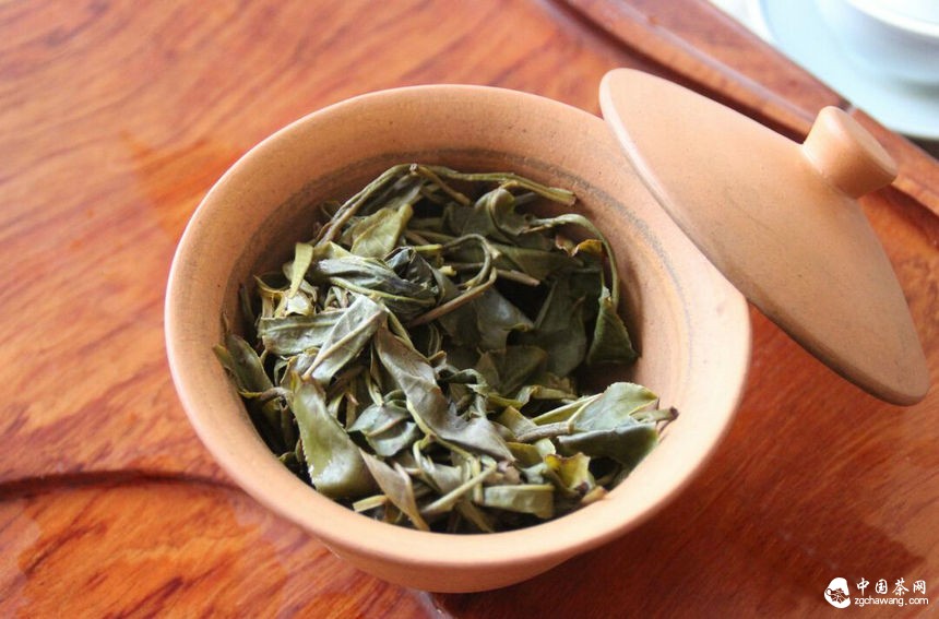 茶马世家云南行觅春茶