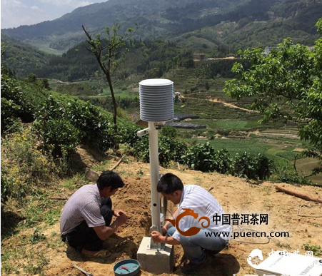 腾冲种茶科技：茶叶种植园自动气象站建成