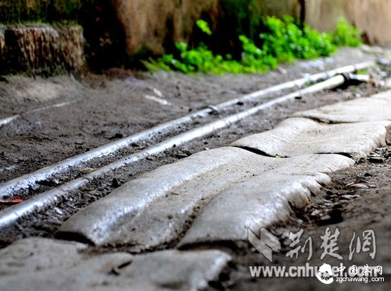 茶叶改变世界！赤壁茶业引领风骚正当时