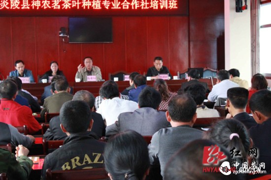 炎陵县举办神农茗茶叶种植专业合作社茶叶培训班