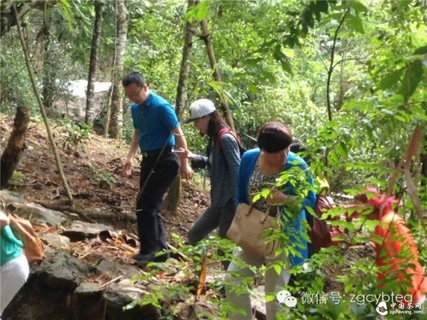 【茶专访】邓增永：就这样把“小产区”模式践行起来了！