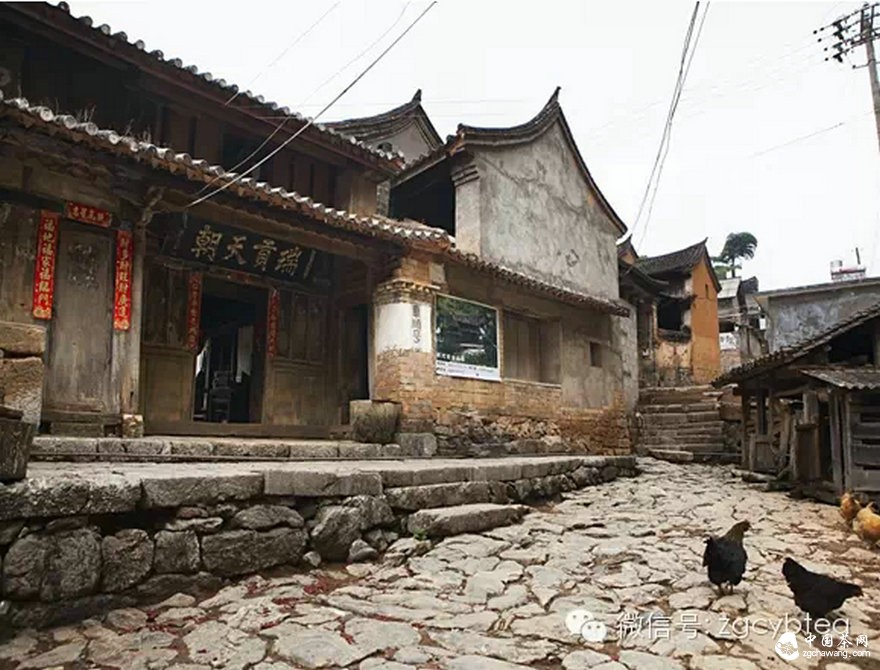 【茶专访】邓增永：就这样把“小产区”模式践行起来了！