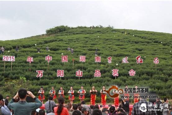 2015年中国·湖南“炎陵红茶”万阳山品茗会