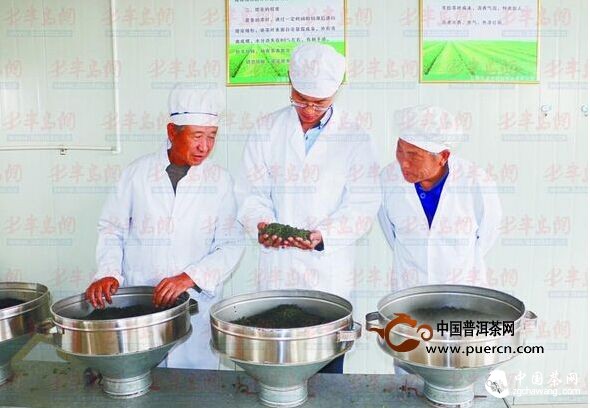 山师大侯传龙扎根茶园 抢占电商市场4年售出万斤放心茶