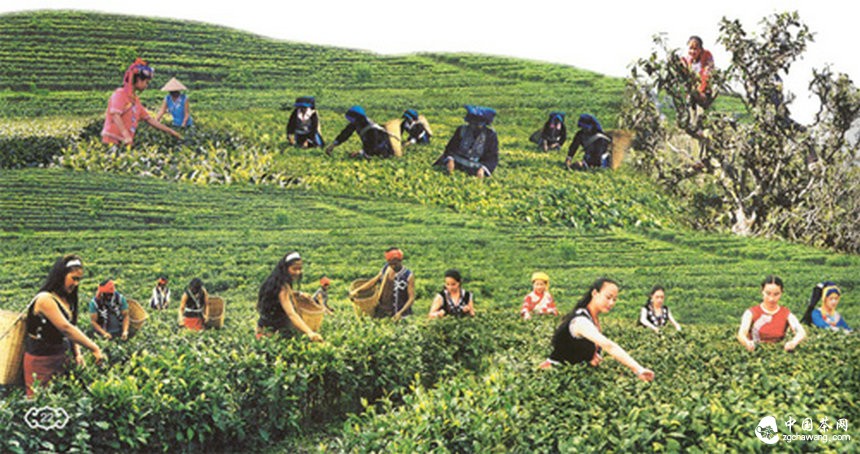 产业活了 农民富了 