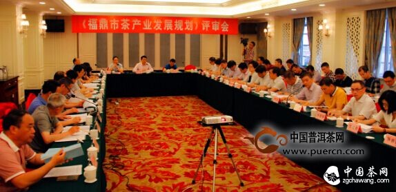中茶院与福鼎市自开展茶叶战略合作取得显著成果