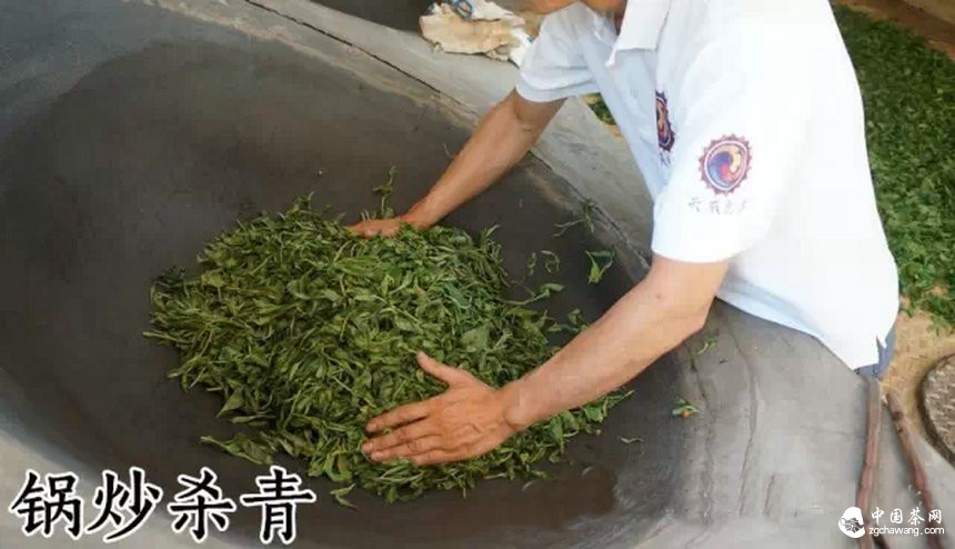 普洱茶不当制程
