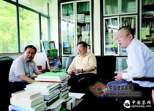 中国工程院院士陈宗懋为宜昌茶产业把脉