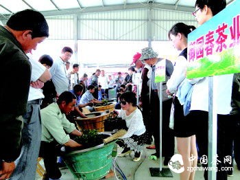 5月19日,在巨峰镇薄家口鲜叶交易市场,17家龙头企业参加了炒茶大赛。