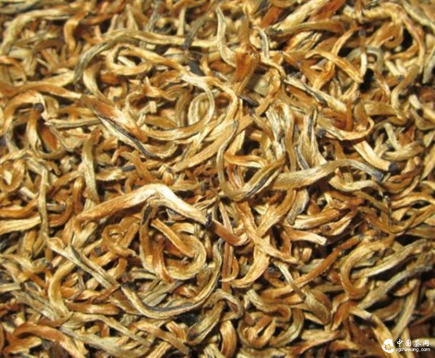 云南省红茶产业技术创新战略联盟在凤庆县成立