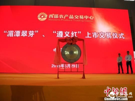 推茶旅一体化 中国(贵州·遵义)国际茶文化节举行