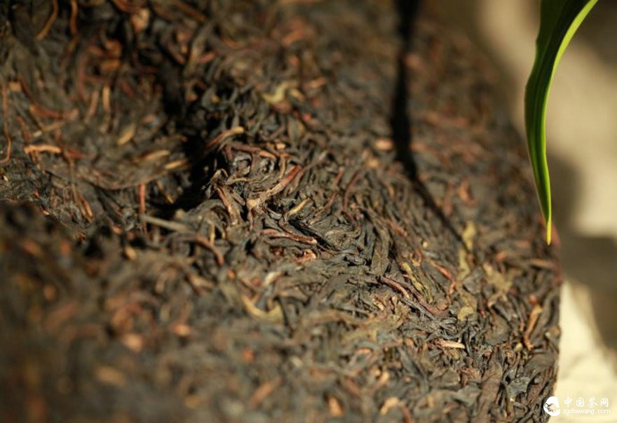 普洱茶投资分析：当前市场环境适合做长线