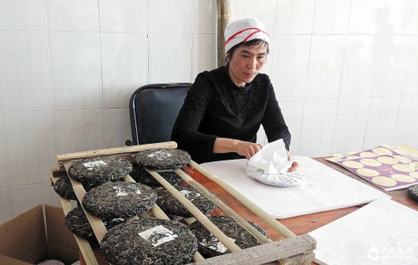 走进马关古林箐 探秘茶马古道上的古茶林