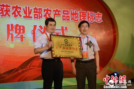 白芽奇兰获农业部农产品地理标志保护授牌仪式 高淑萍 摄