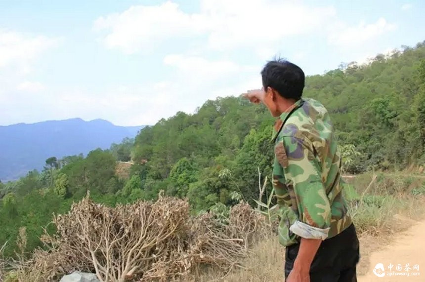 我带上你，你带上眼，去看看茶农。