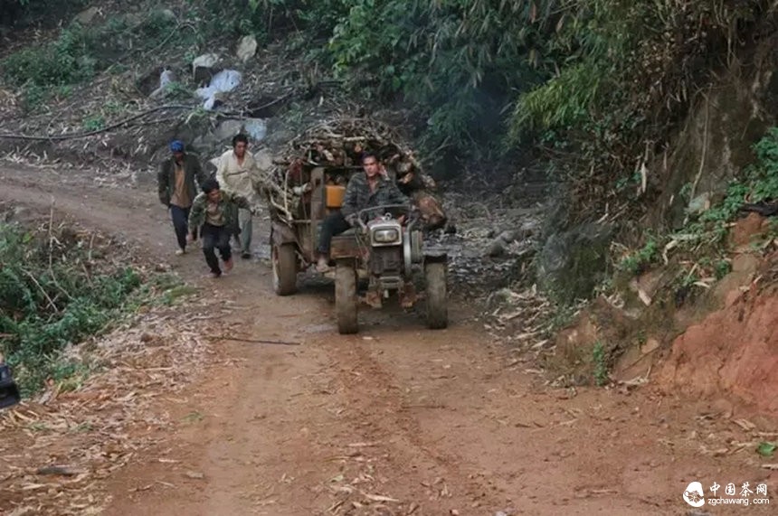 我带上你，你带上眼，去看看茶农。