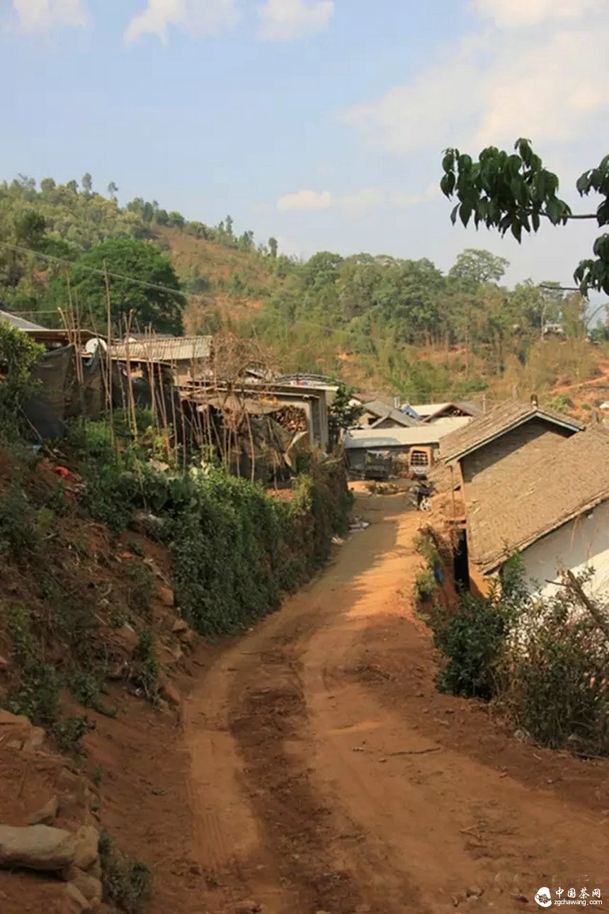 我带上你，你带上眼，去看看茶农。