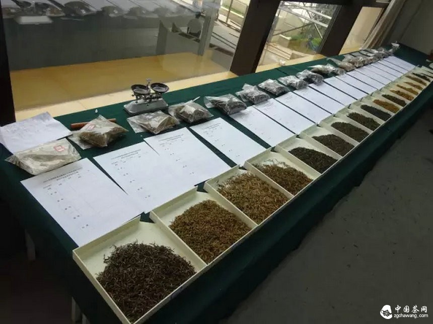 2015北京国际茶业展茶叶产品推介活动成功举行