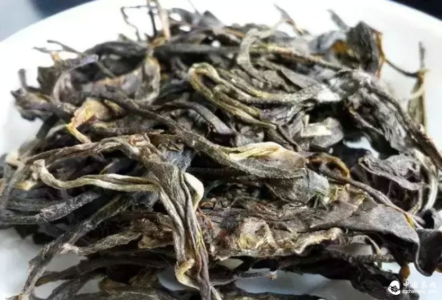 普洱茶投资分析：老茶对营销的帮助有多大