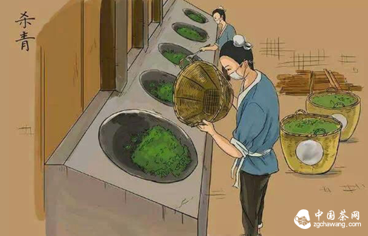 董玥说茶：生茶和熟茶制作工艺的不同之处图为普洱茶杀青