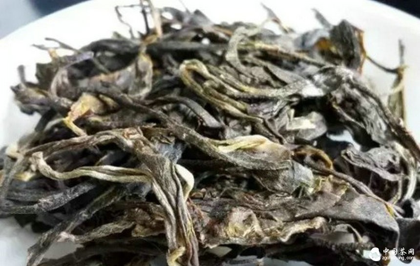 普洱老茶对营销的帮助有多大