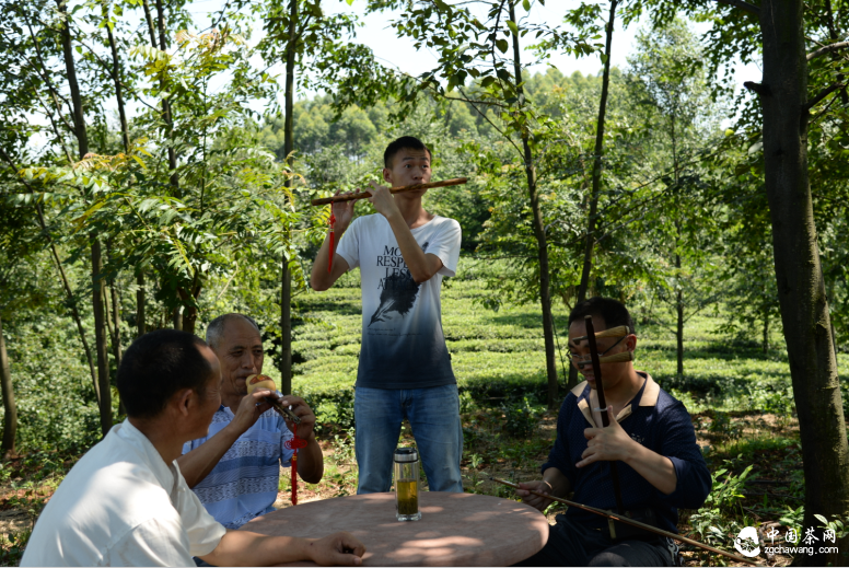 茨楸塆的茶农爱生活，也爱音乐