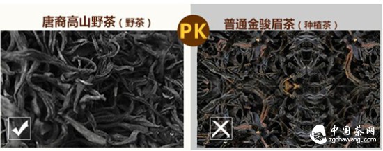 如何选购茶叶